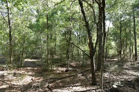 11 St, Interlachen, FL 32148 photo 20