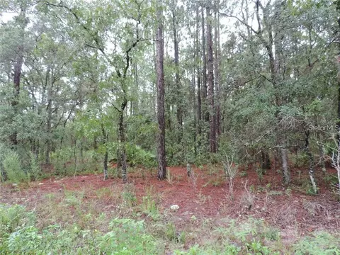 tbd SW 135th Terrace Rd, Dunnellon, FL 34432