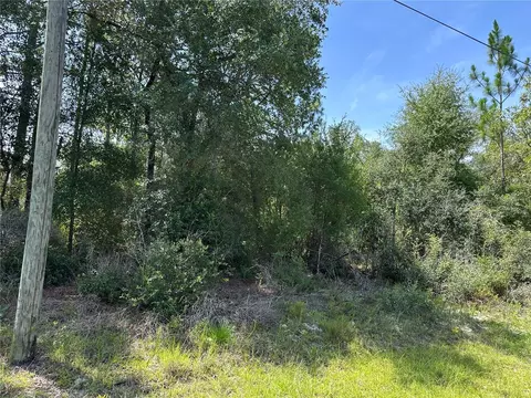 1498 E Carson Rd, Dunnellon, FL 34434