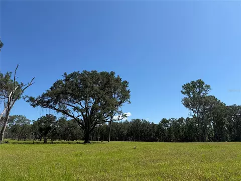 Do #7 NW 193rd St, Micanopy, FL 32667