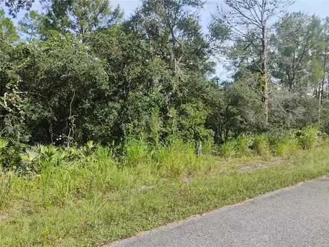 tbd Cedar St, Paisley, FL 32767