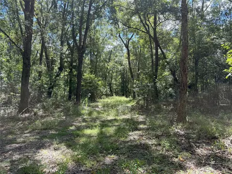 Do #3 NW 193rd St, Micanopy, FL 32667
