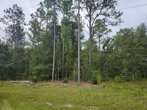 lot24 SW 89th Cir, Ocala, FL 34473