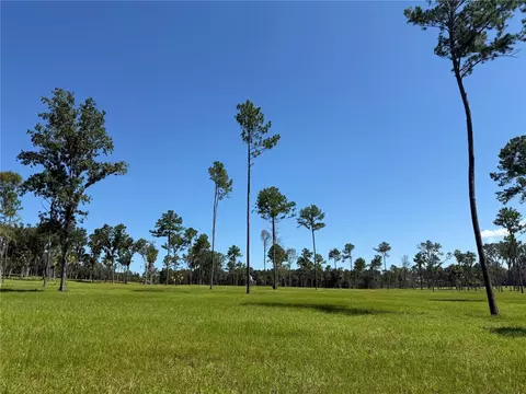Do #8 NW 193rd St, Micanopy, FL 32667