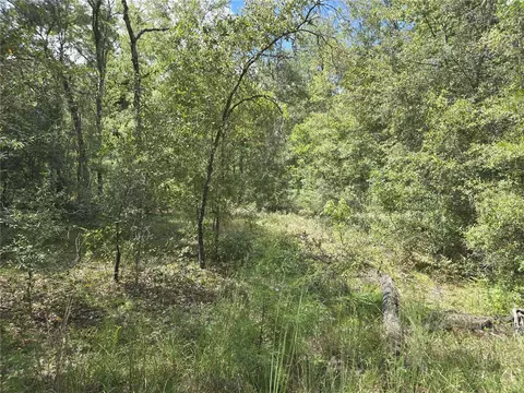 00 NE 150th Ter, Williston, FL 32696