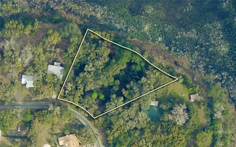 tbd SE 164th Cir, Ocklawaha, FL 32179
