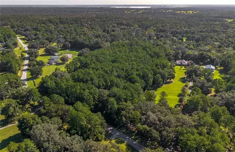tbd NW 88th Avenue Rd, Reddick, FL 32686 photo 9