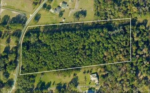 tbd NW 88th Avenue Rd, Reddick, FL 32686 photo 4