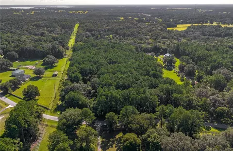 tbd NW 88th Avenue Rd, Reddick, FL 32686 photo 8