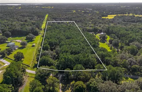 tbd NW 88th Avenue Rd, Reddick, FL 32686 photo 2