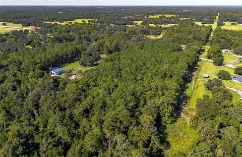 tbd NW 88th Avenue Rd, Reddick, FL 32686 photo 10