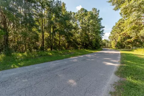 tbd NW 88th Avenue Rd, Reddick, FL 32686 photo 6