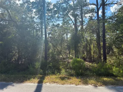 Redwing Road, Dunnellon, FL 34430