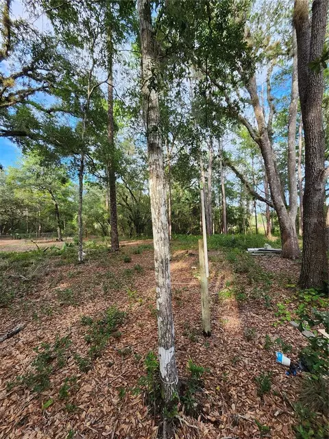 Vacant Land - Parcel 16579-000-00 Off 138th Ave Rd, Silver Springs, FL 34488