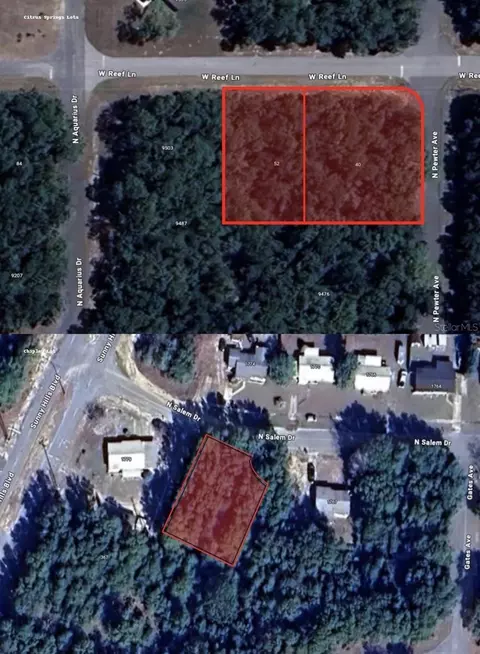 40 W Reef Ln, Citrus Springs, FL 34434