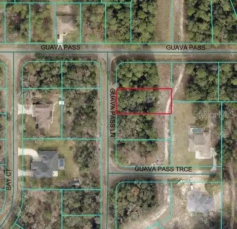 Guava Pass Lane, Ocklawaha, FL 32179
