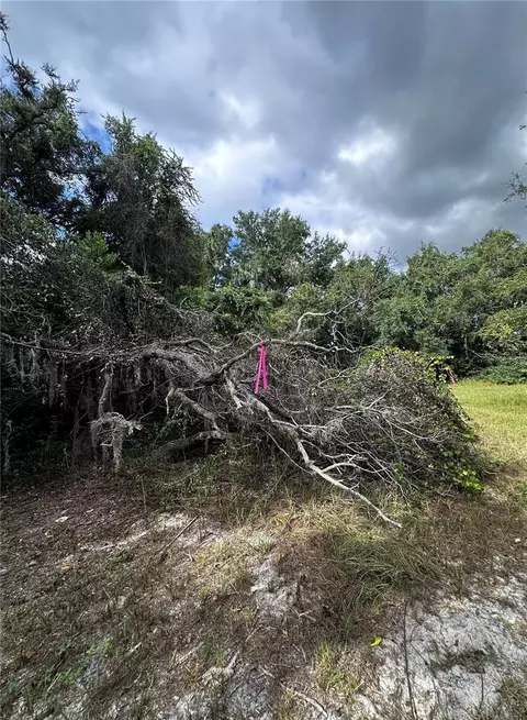 722 Highway 40 W, Inglis, FL 34449 photo 21