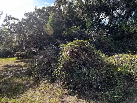 722 Highway 40 W, Inglis, FL 34449 photo 12