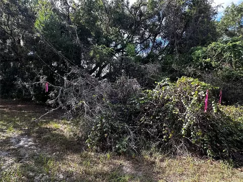 722 Highway 40 W, Inglis, FL 34449 photo 13