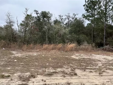 lot27 SW 77th Ave, Ocala, FL 34473