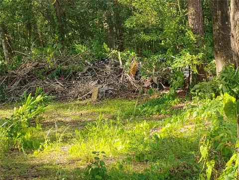 Jasmine Road, Altoona, FL 32702