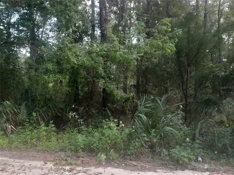 tbd NE 52nd Pl, Williston, FL 32696
