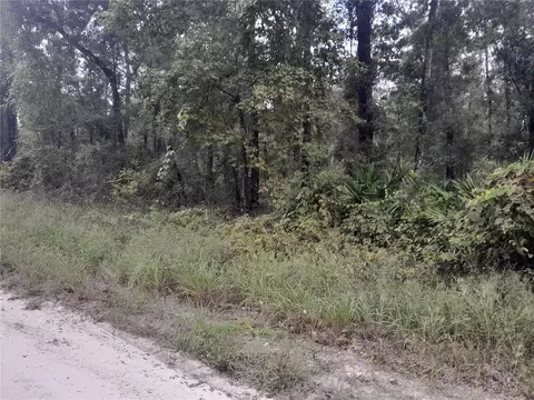tbd NE 292nd Ave, Old Town, FL 32680