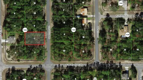 11032 N Trigger Ter, Citrus Springs, FL 34433