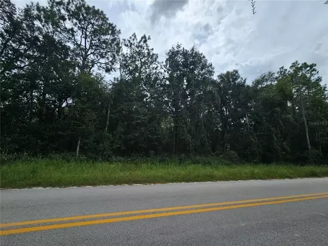 9830 NE 65th Ln, Bronson, FL 32621