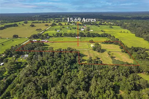View/Area - 12615 NW Gainesville Rd, Reddick, FL 32686 photo 12 of 16