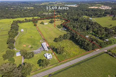 View/Area - 12615 NW Gainesville Rd, Reddick, FL 32686 photo 4 of 16