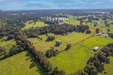 View/Area - 12615 NW Gainesville Rd, Reddick, FL 32686 photo 2 of 16