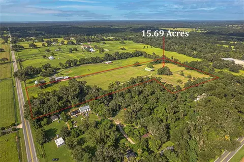 View/Area - 12615 NW Gainesville Rd, Reddick, FL 32686 photo 13 of 16