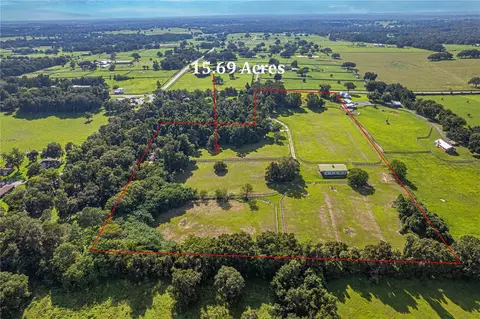 View/Area - 12615 NW Gainesville Rd, Reddick, FL 32686 photo 9 of 16