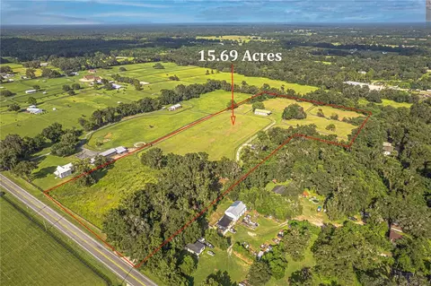 View/Area - 12615 NW Gainesville Rd, Reddick, FL 32686 photo 14 of 16