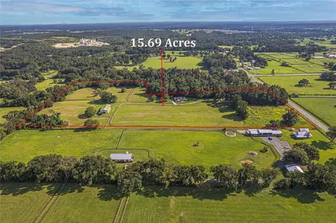 View/Area - 12615 NW Gainesville Rd, Reddick, FL 32686 photo 6 of 16