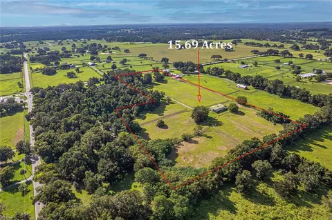 View/Area - 12615 NW Gainesville Rd, Reddick, FL 32686 photo 10 of 16