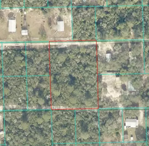 lot21 NE Ne St, Fort Mc Coy, FL 32134