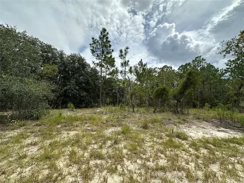 tbd SE 128th Ave, Dunnellon, FL 34431