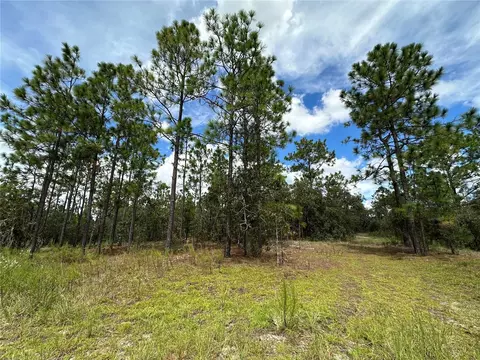 tbd SE 105th Ln, Dunnellon, FL 34431