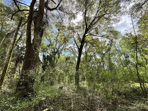 tbd SW 5th Ln, Ocala, FL 34481 photo 14