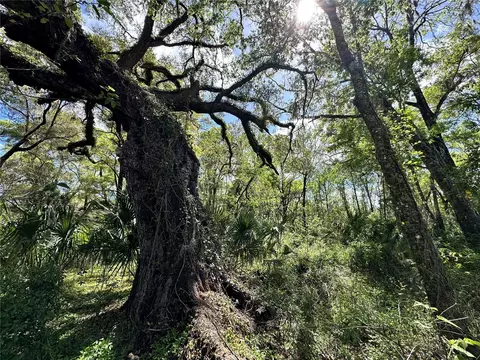 tbd SW 5th Ln, Ocala, FL 34481 photo 4