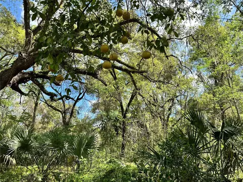 tbd SW 5th Ln, Ocala, FL 34481 photo 5