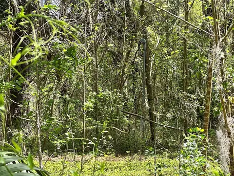 tbd SW 5th Ln, Ocala, FL 34481 photo 11