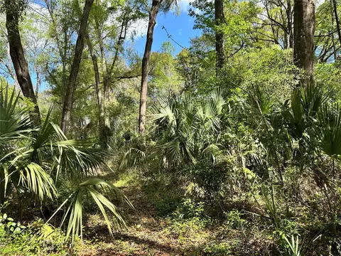 tbd SW 5th Ln, Ocala, FL 34481 photo 6