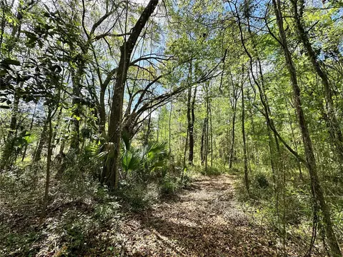 tbd SW 5th Ln, Ocala, FL 34481 photo 8