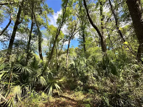 tbd SW 5th Ln, Ocala, FL 34481 photo 7