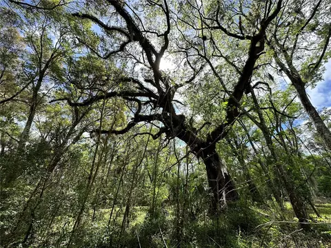 tbd SW 5th Ln, Ocala, FL 34481 photo 13