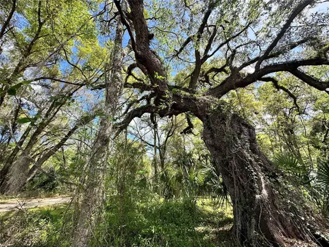 tbd SW 5th Ln, Ocala, FL 34481 photo 12