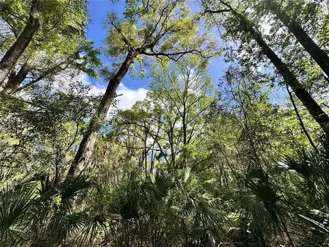 tbd SW 5th Ln, Ocala, FL 34481 photo 9
